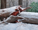 Fallen Tree In Winter 28x36